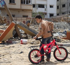 Gaza Emergency Fund