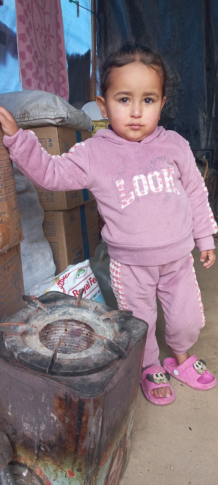 Human Appeal Orphan - Mesk