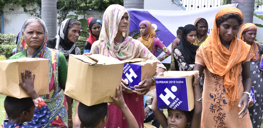 Qurbani - India Full Cow