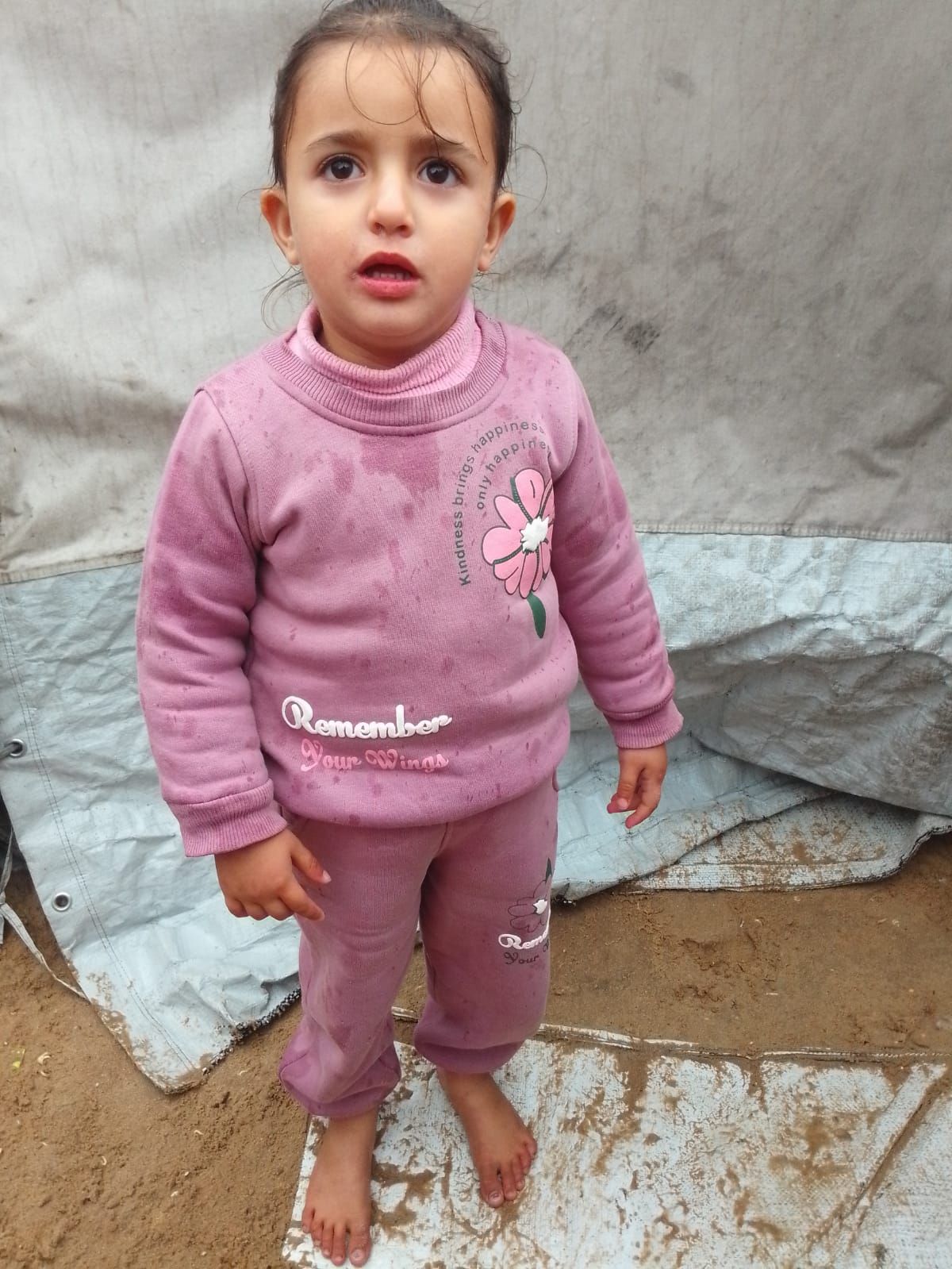 Human Appeal Orphan - Sham