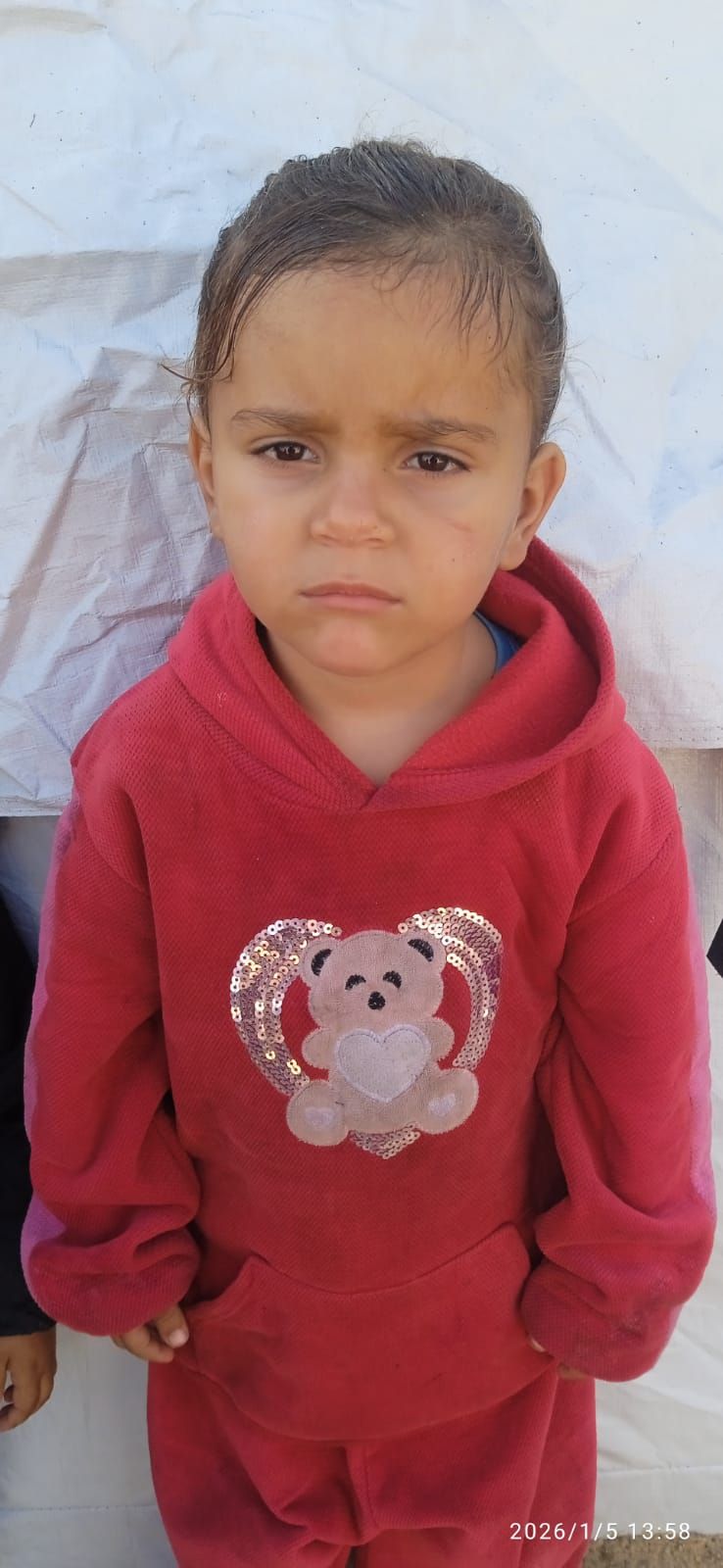 Lana, Human Appeal Orphan from Palestine