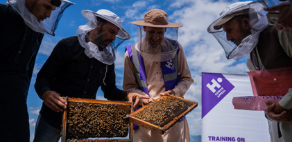 Honey Bee Farm