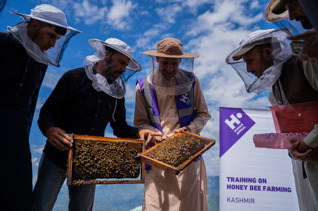 Honey Bee Farm