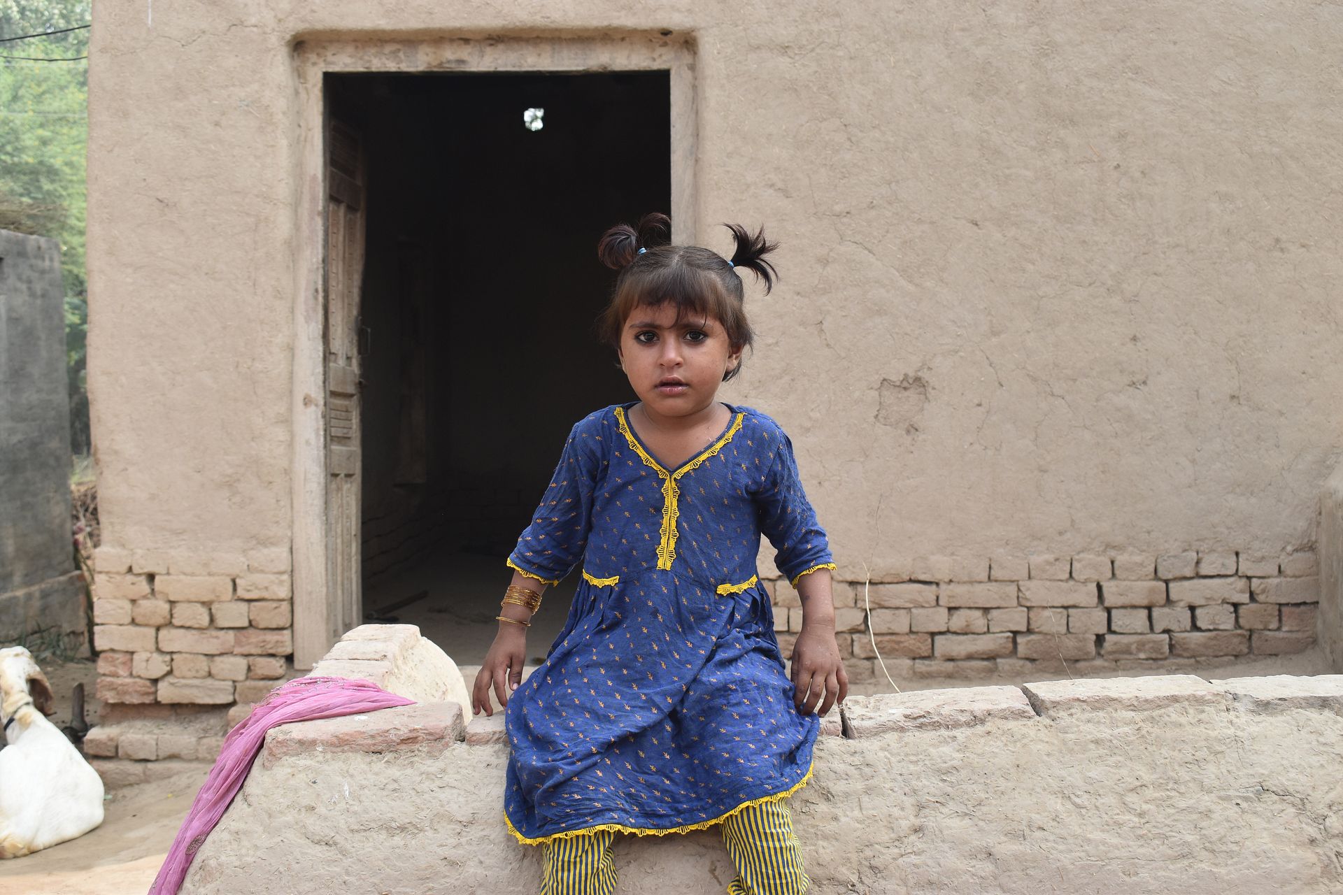 Human Appeal Orphan - Jannat