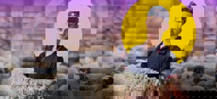 Choose Your Qurbani/Udhiya