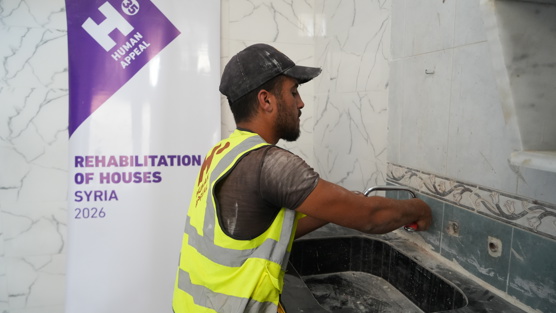 Houses Rehab