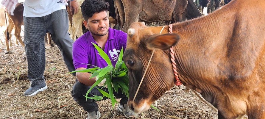 The Story of Prophet Ibrahim (as) and the Legacy of Qurbani