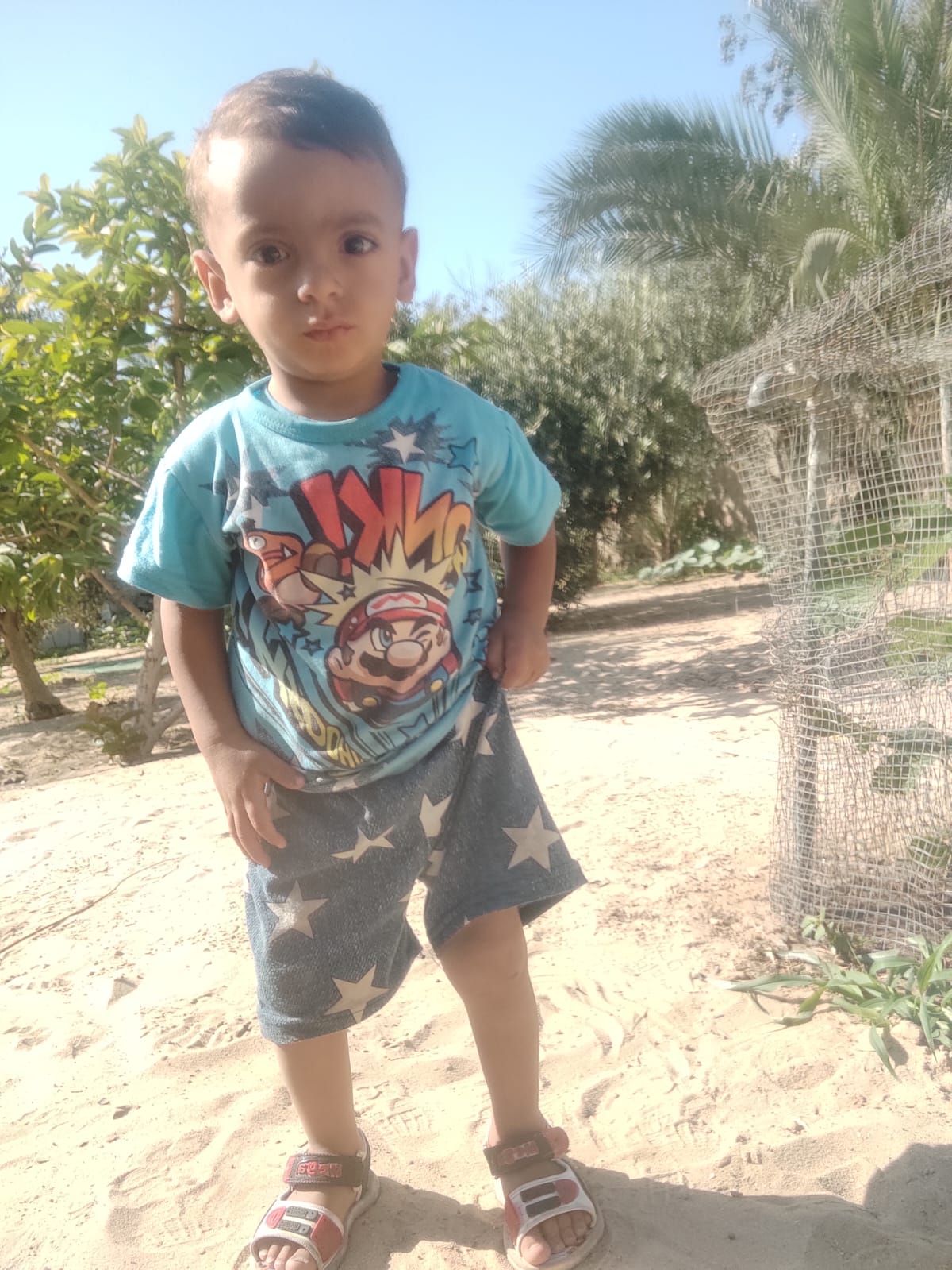 Anas, Human Appeal Orphan from Palestine