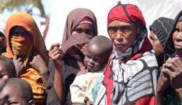 Sudan Emergency Appeal