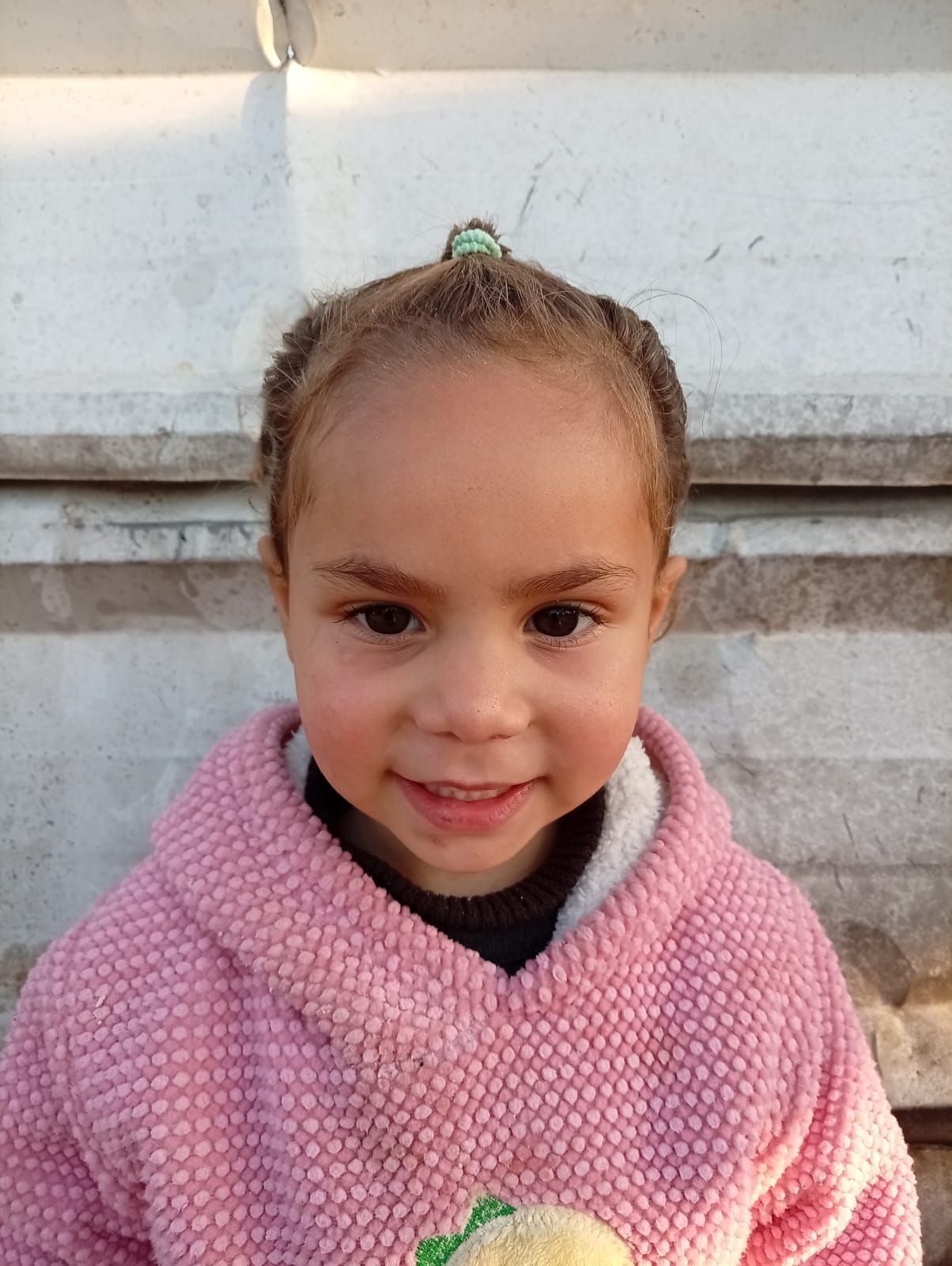 Human Appeal Orphan - Sham