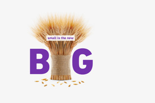 Purple Dollar Fund