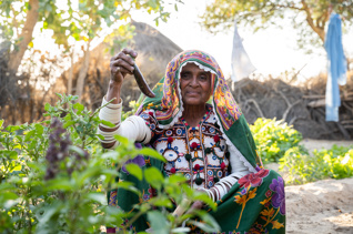 Pakistan Livelihoods Fund