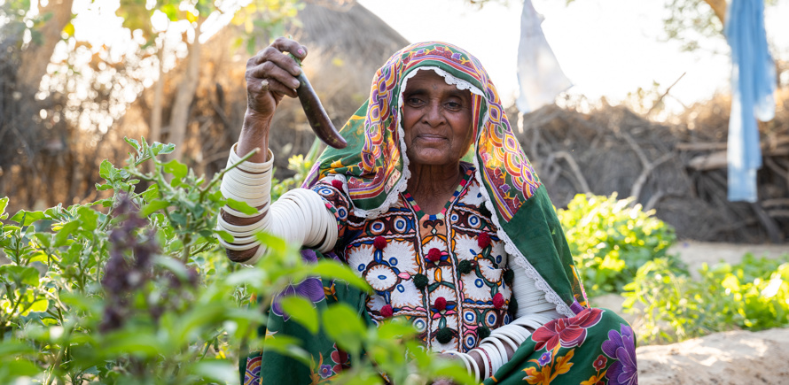 Pakistan Tharparkar Livelihoods Fund