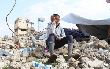 Rebuild Gaza