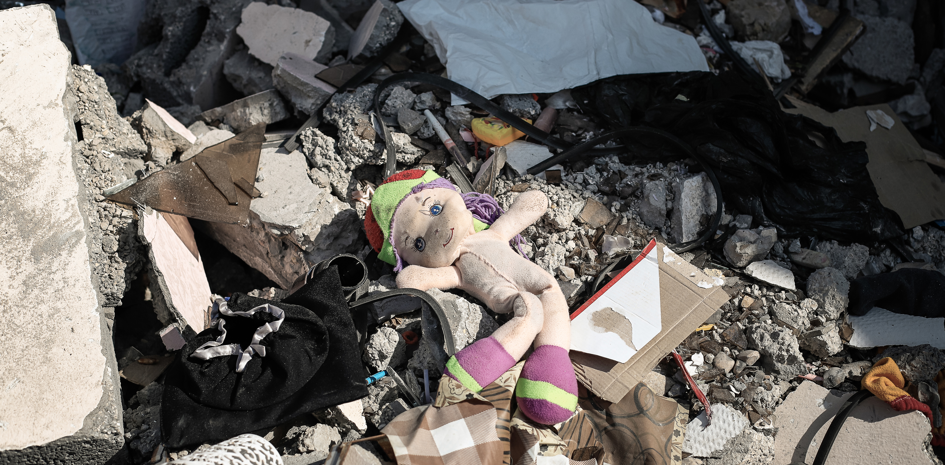 Gaza Emergency Appeal - One Year On